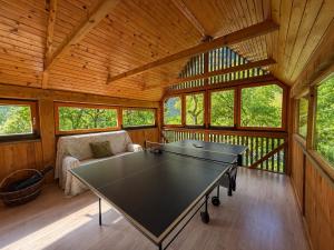a ping pong table in the middle of a room at Soča Village in Soča