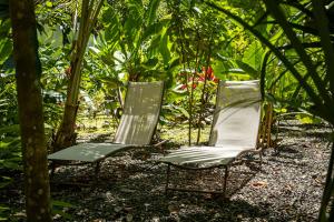 two chairs sitting in the middle of a forest at Riverside Villas in Manuel Antonio