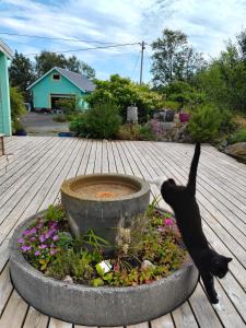a black cat standing next to a bird bath at Høgberget Loft with 3 bedrooms and private bathroom in Skotten