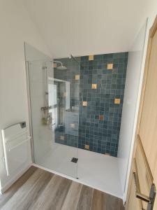 a shower with a glass door in a bathroom at Gîte du Tilleul in Beire-le-Châtel