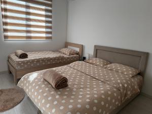 two twin beds in a bedroom with a window at Apartman VIA in Žabljak