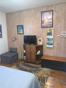 a bedroom with a bed and a tv on a wooden wall at Cookie home in Dolomieux