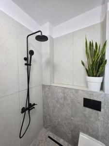 a shower in a bathroom with a plant at Sun & Moon Studio Afitos in Afitos +31 photos