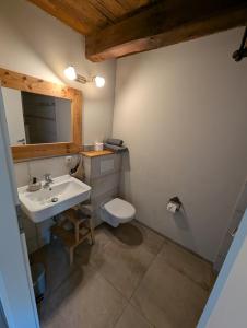 a bathroom with a sink and a toilet at Pension Müllers Mühle in Großenhain +21 photos