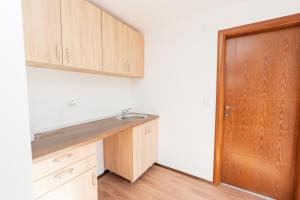 a kitchen with a sink and a wooden door at Riverside Lim in Plav