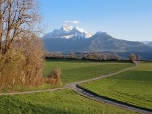 a road in a field with a mountain in the background at Les Petites Maïs in Nantes-en-Rattier