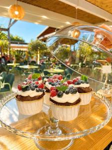 a display of cupcakes on a glass plate at Hotel President in Shëngjin