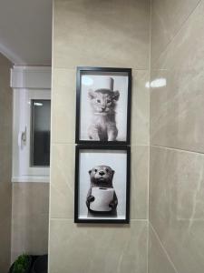 three pictures of a cat and a dog on a wall at Las Casas de Lola in Candeleda