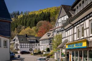 a group of buildings in a town with a mountain at Wald & Weg in Schmallenberg