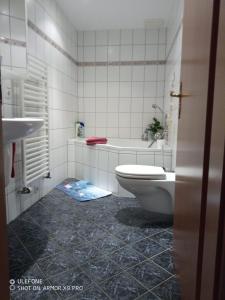 a white bathroom with a toilet and a sink at Ferienwohnung Kiefernwald in Mechernich