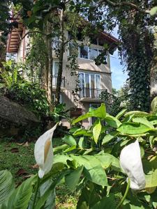 a building with green plants in front of it at Misty Edge Hanthana in Kandy