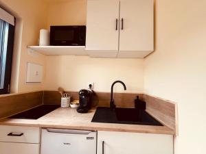 a kitchen with a sink and a microwave at Suite Master in Brest +9 photos