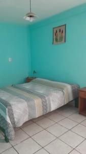 a bedroom with a bed with a blue wall at ROCA AZUL in El Bolsón