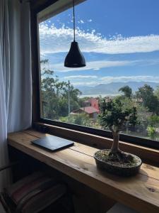 a window with a potted tree on a wooden table at Suítes Âncora Praia do Rosa in Imbituba