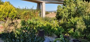 a garden with plants and a bridge in the background at Green cabin in our small garden in Arruda dos Vinhos