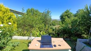 a laptop computer sitting on a table in a garden at Green cabin in our small garden in Arruda dos Vinhos +8 photos