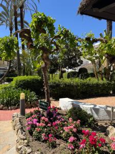 a sign in a garden with pink flowers at Anais Marbella in Marbella