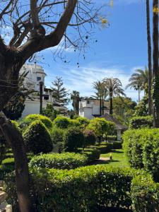 a view of a garden with trees and bushes at Anais Marbella in Marbella