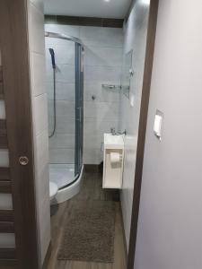 a bathroom with a shower and a toilet and a sink at Na Jurze in Mirów