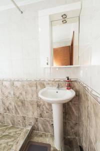 a bathroom with a sink and a mirror at Riverside Lim in Plav +20 photos