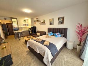 a bedroom with a bed and a living room at Nelly's Place 27 in Shkorpilovtsi +31 photos