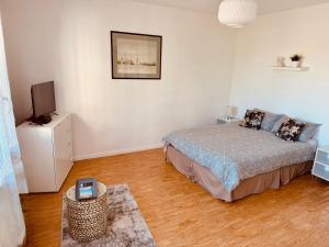 a bedroom with a bed and a television in it at Studio cosy à Molsheim Calme, centre-ville et accès Strasbourg in Molsheim