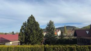 a view of a town with trees and houses at Appartment Sylvia von Skwarczinsky in Tabarz