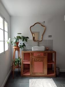 a bathroom with a sink and a mirror at Gite du Vidame in Montsoreau