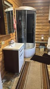 a bathroom with a shower and a sink and a toilet at Woodhouse Svitiaz in Svityazʼ +36 photos