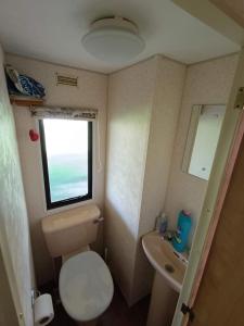 a small bathroom with a toilet and a sink at Nad Łabędzim Stawem in Dratów