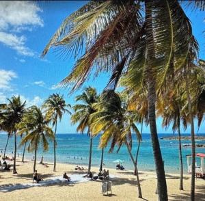 a group of palm trees on a beach with the ocean at Star of the Olympus 2c Romantic Studio at Miramar Puerto Rico near beaches and Convention Center in San Juan