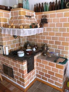 a brick wall with a stove in a kitchen at Leśniczówka Turowo - Podlasie in Nowosiółki +9 photos