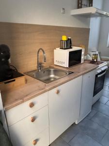 a kitchen with a sink and a microwave at Chez Aurore in Port-de-Bouc