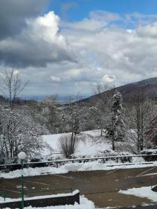 a snow covered field with trees and a street light at Julia's Oase in Sasbachwalden