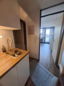 a kitchen with a sink and a counter top at Julia's Oase in Sasbachwalden +9 photos