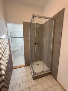a shower with a glass door in a bathroom at Fürstenhof Belle Etage Altstadt- Parkplatz im Innenhof in Wismar