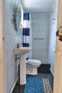 a bathroom with a sink and a toilet and a mirror at Donde Mauricio in Coihaique