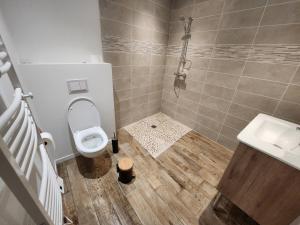 a bathroom with a toilet and a sink at Maison centre-ville , pisicne in Mimizan +4 photos