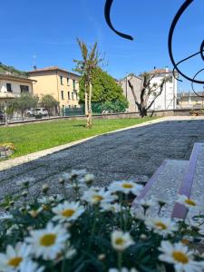 a bunch of flowers on the side of a road at AlMi House - Colline del Prosecco in Soligo
