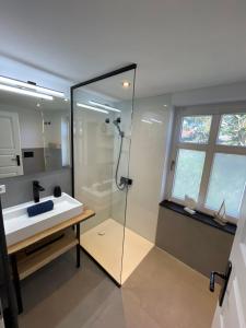 a bathroom with a sink and a glass shower at Jasmunder Boddenhuus 37 in Glowe +30 photos