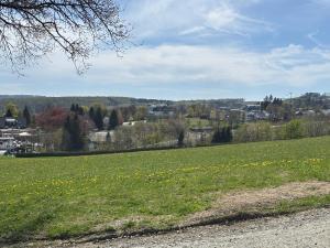 a field of green grass with yellow flowers in a field at Ferienwohnung Waldblick in Winterberg