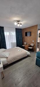 a bedroom with a large bed and a television at Vila Armonia in Curtea de Argeş