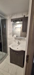 a bathroom with a sink and a shower at Vila Armonia in Curtea de Argeş