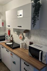 a kitchen with a counter top with a microwave at Casa Tre Fiori 3 in Mignanego +13 photos