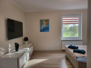 a living room with a tv and a couch and a window at Apartament Harsz in Harsz +18 photos