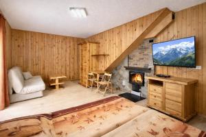 a living room with a fireplace and a flat screen tv at Domki - Pod Smerkami in Szklarska Poręba