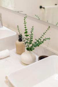 a white vase with a plant on a bathroom counter at 2BDR Condo Beach Downtown Jacuzzi Pool Amenities in Cabo San Lucas +29 photos
