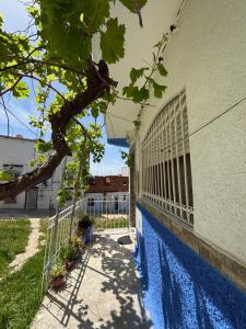 a fence on the side of a building with a tree at casa chawni in Chefchaouen