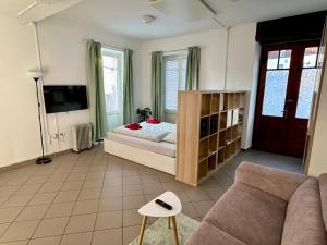 a living room with a bed and a couch at Soca treasure with free parking in Bovec