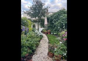 ein Garten voller Pflanzen und Blumen in der Unterkunft Faversham cottage in Kent